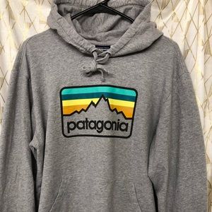 Patagonia Logo Hoodie